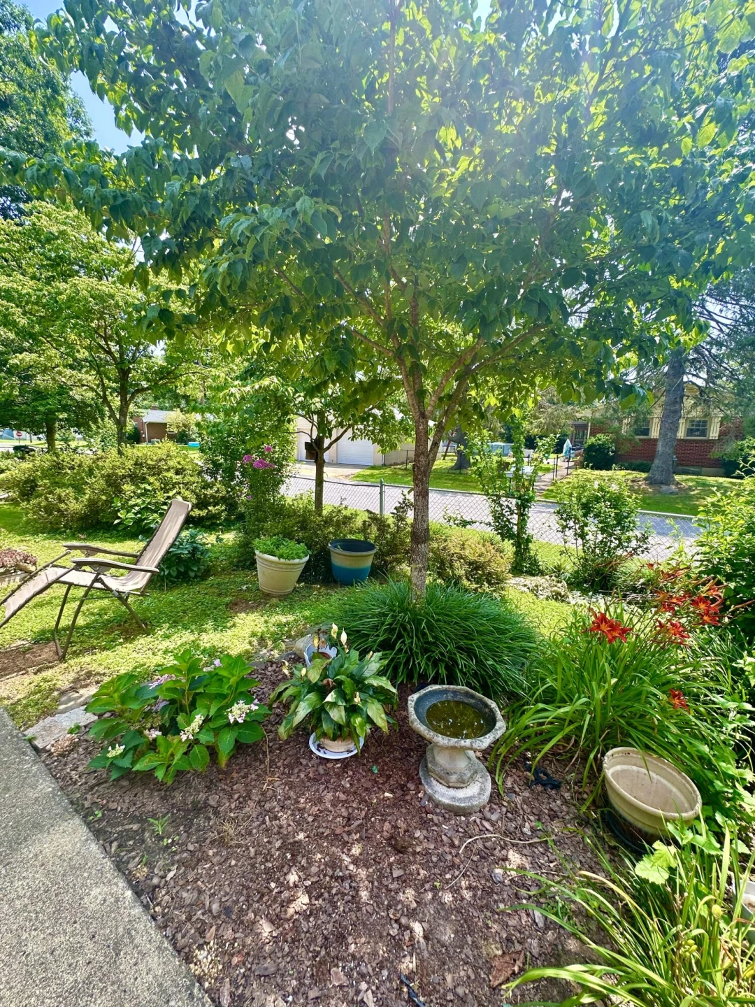 109 Vine AVE - Photo 13