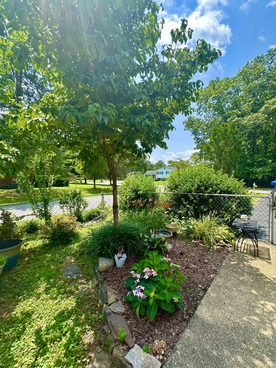 109 Vine AVE - Photo 6