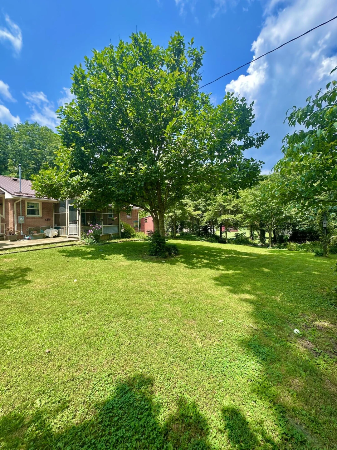 109 Vine AVE - Photo 7