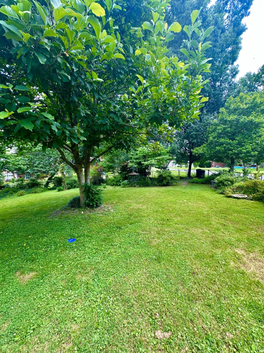 109 Vine AVE - Photo 8
