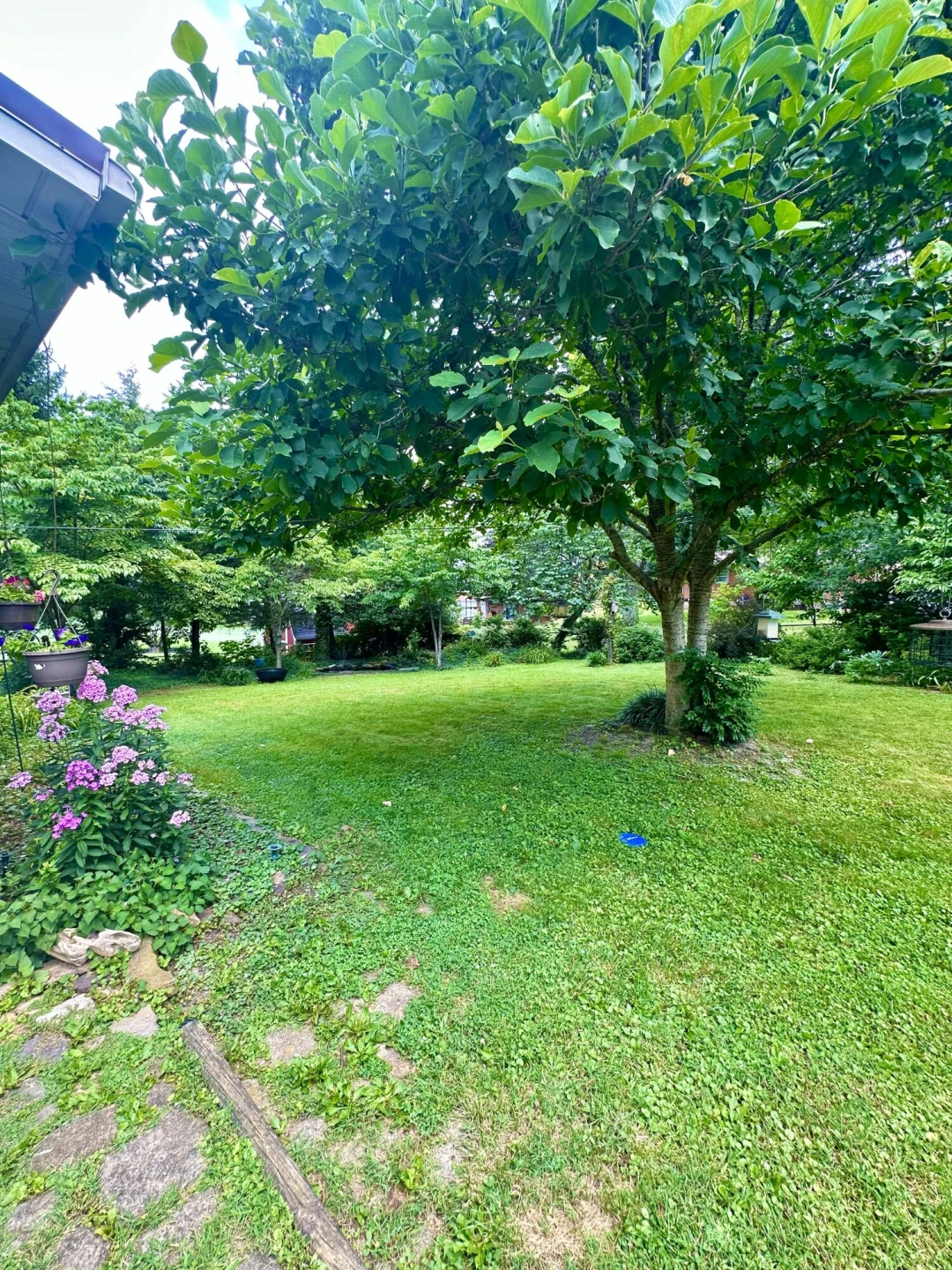109 Vine AVE - Photo 9