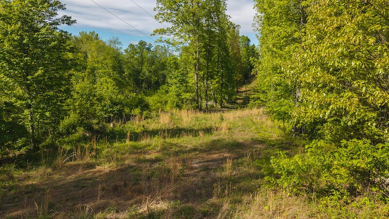 Lot 1 Shortcut DR - Photo 10