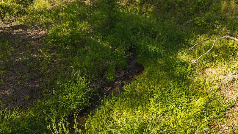 Lot 1 Shortcut DR - Photo 11