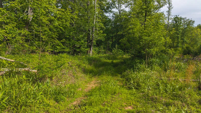 Lot 1 Shortcut DR - Photo 14