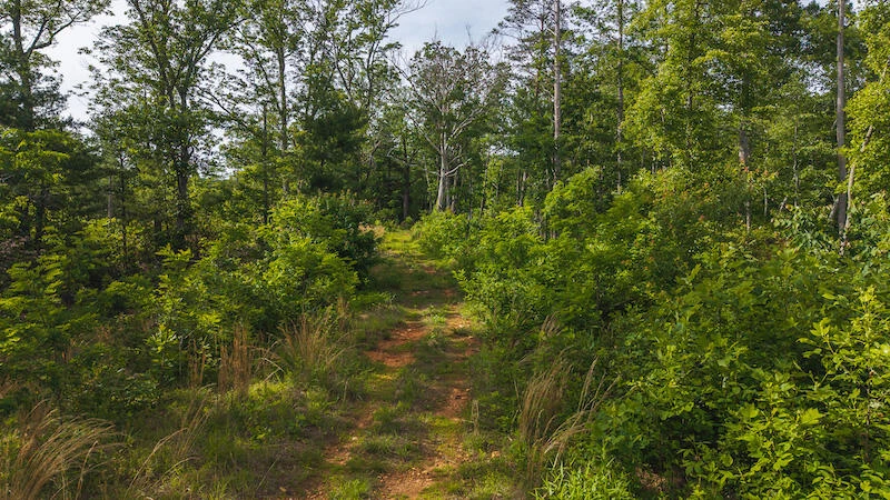 Lot 1 Shortcut DR - Photo 15