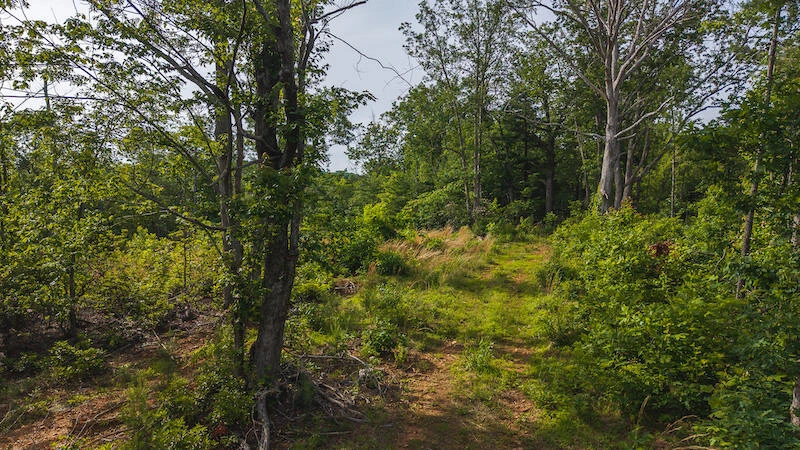 Lot 1 Shortcut DR - Photo 16