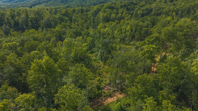 Lot 1 Shortcut DR - Photo 18