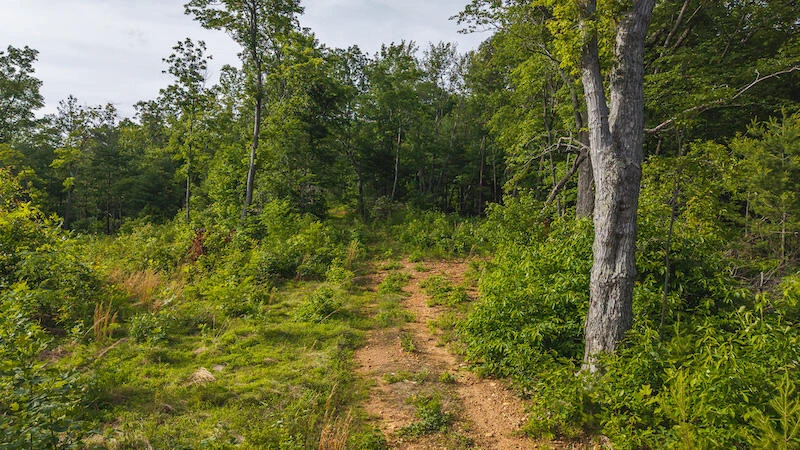 Lot 1 Shortcut DR - Photo 21