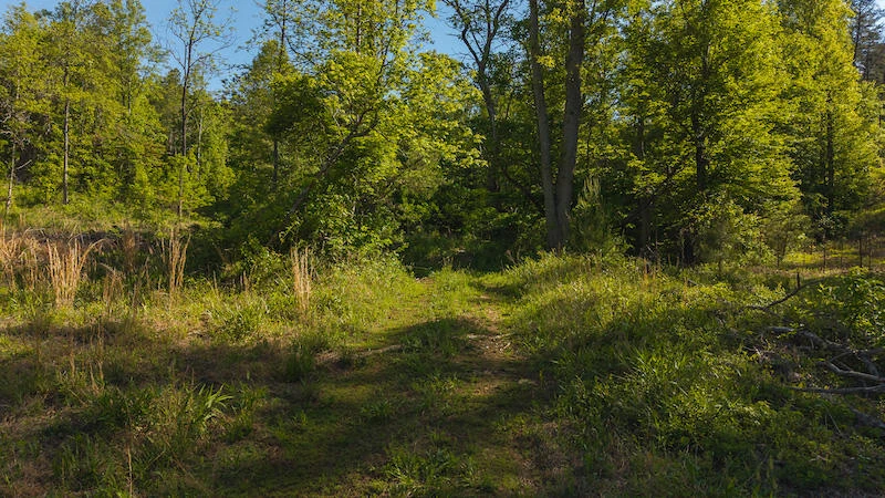 Lot 1 Shortcut DR - Photo 4