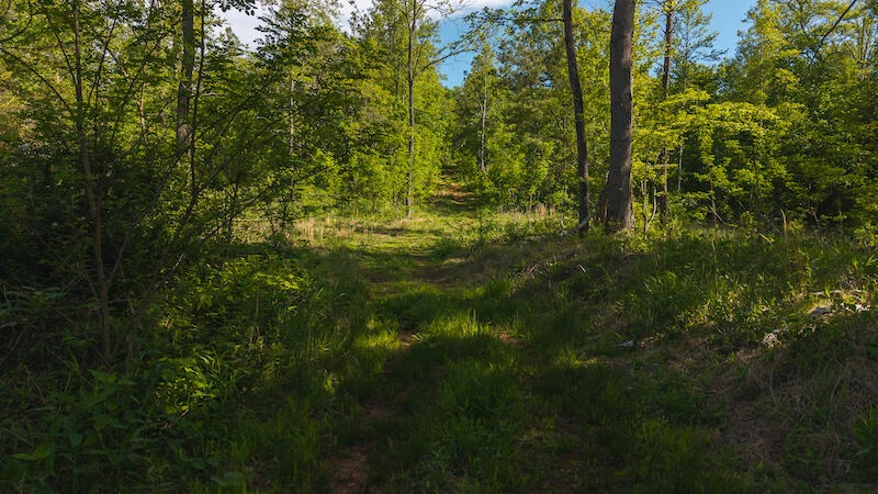 Lot 1 Shortcut DR - Photo 5