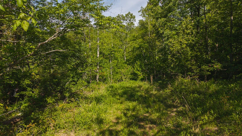Lot 1 Shortcut DR - Photo 6