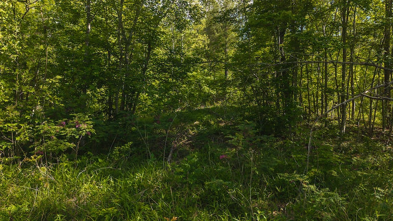 Lot 1 Shortcut DR - Photo 8