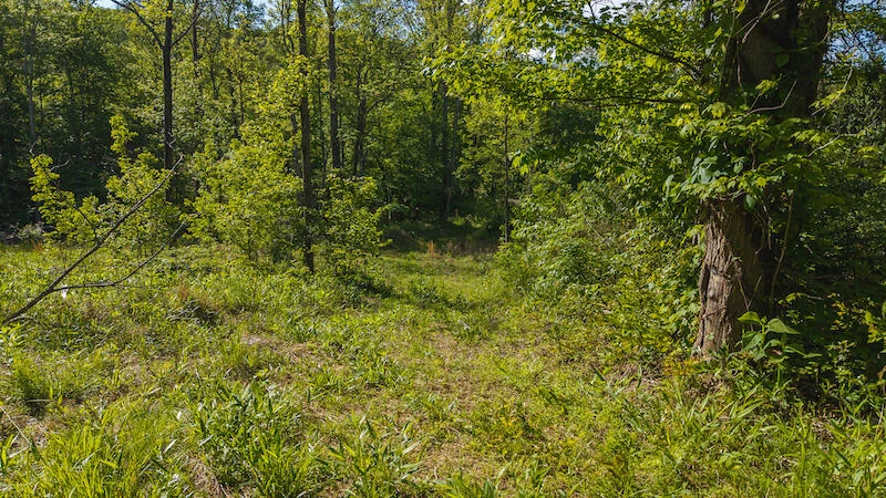 Lot 1 Shortcut DR - Photo 9