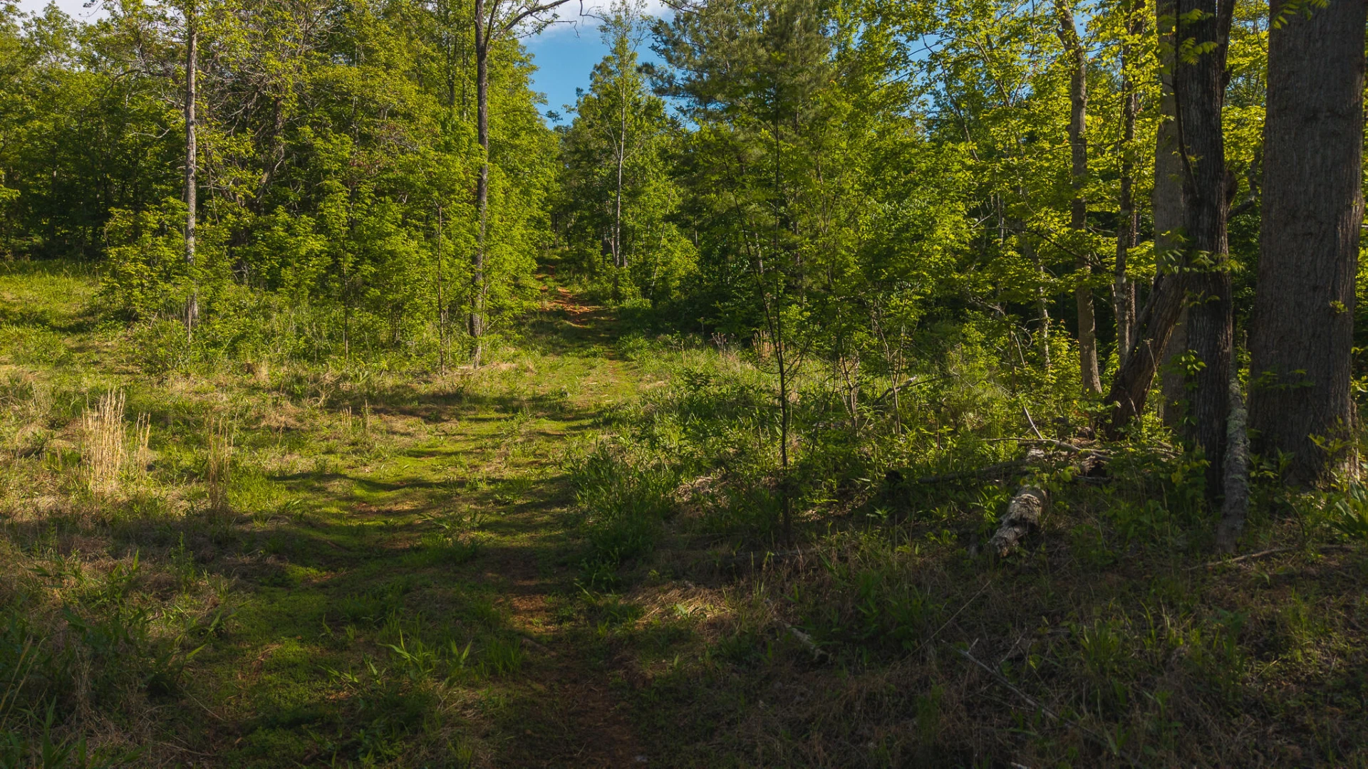 Lot 3 Shortcut DR