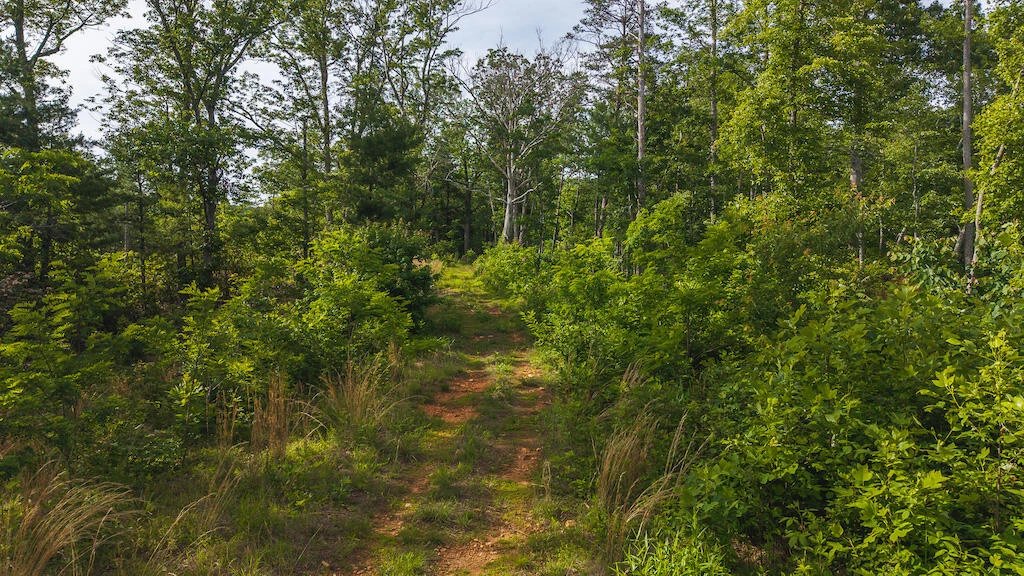Lot 3 Shortcut DR - Photo 11