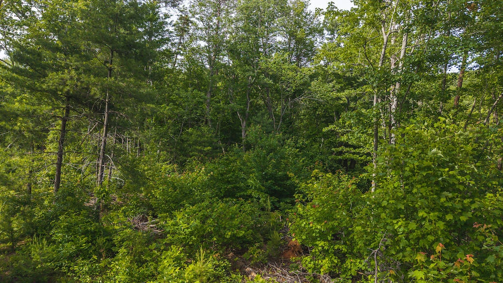 Lot 3 Shortcut DR - Photo 15