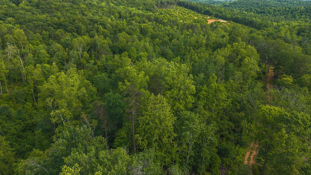 Lot 3 Shortcut DR - Photo 20