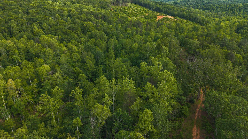 Lot 3 Shortcut DR - Photo 21