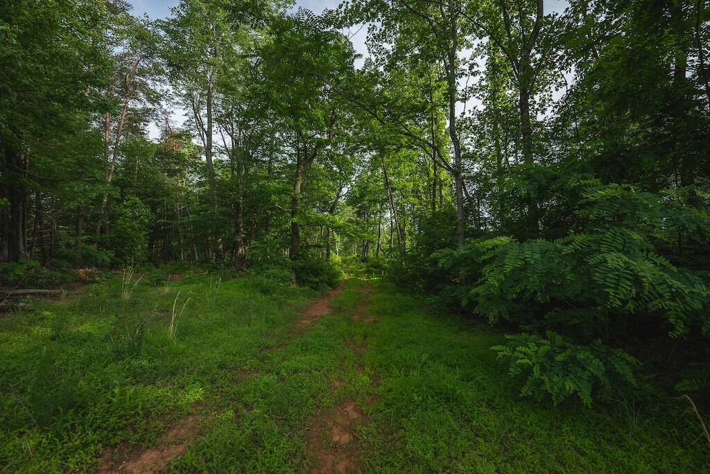 Lot 3 Shortcut DR - Photo 25