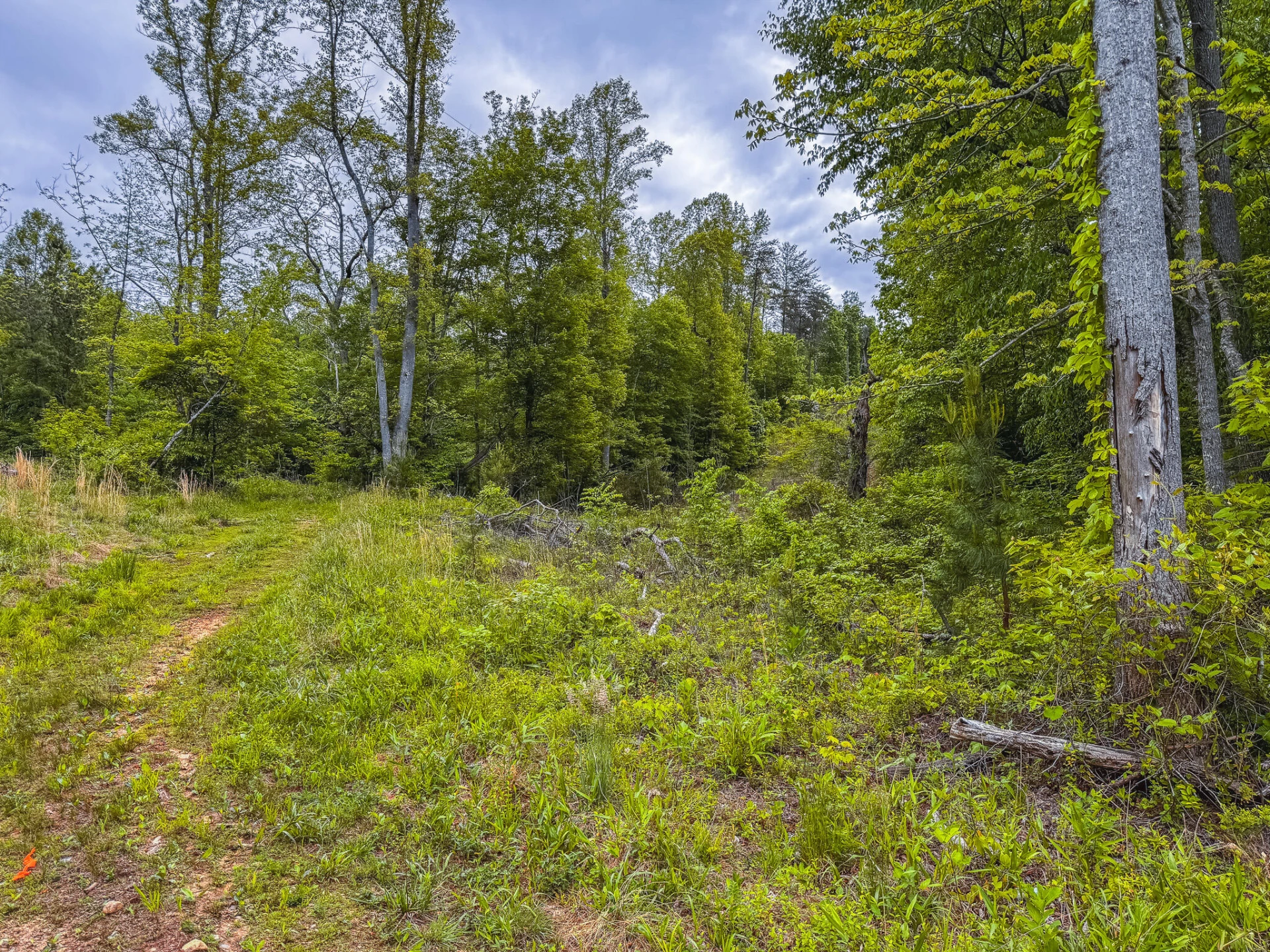 Lot 3 Shortcut DR - Photo 3