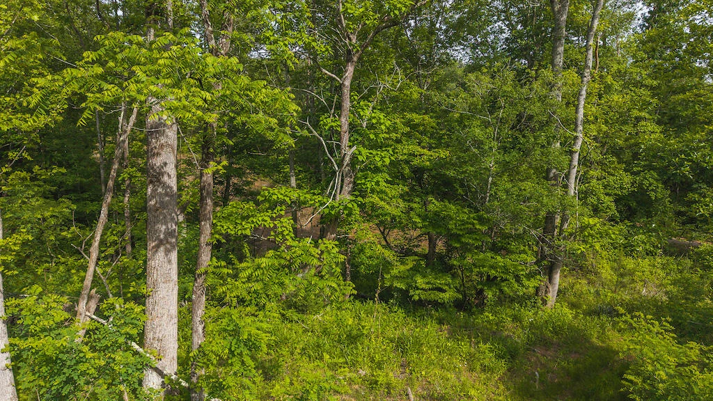 Lot 3 Shortcut DR - Photo 7