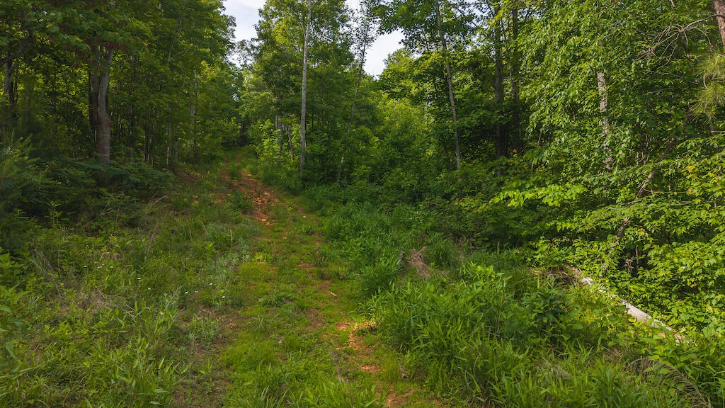 Lot 3 Shortcut DR - Photo 9