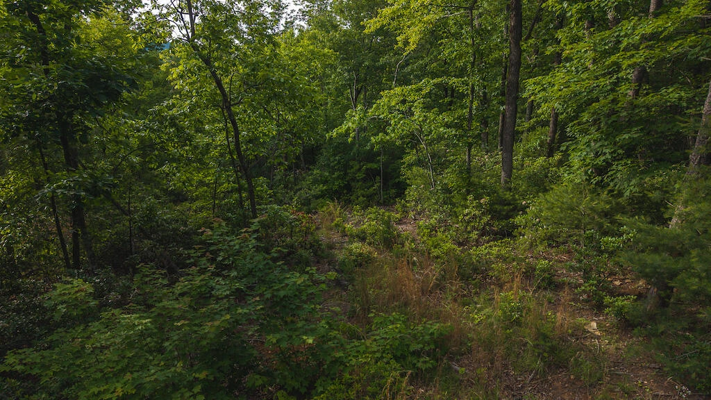 Lot 4 Shortcut DR - Photo 3