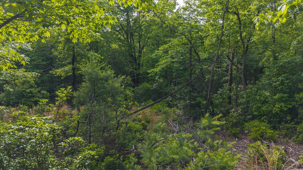 Lot 4 Shortcut DR - Photo 4