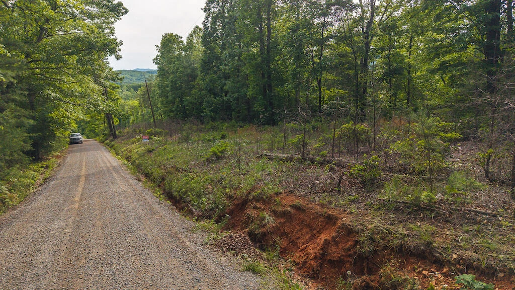 Lot 4 Shortcut DR - Photo 6