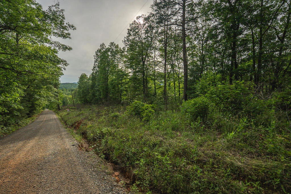 Lot 4 Shortcut DR - Photo 8