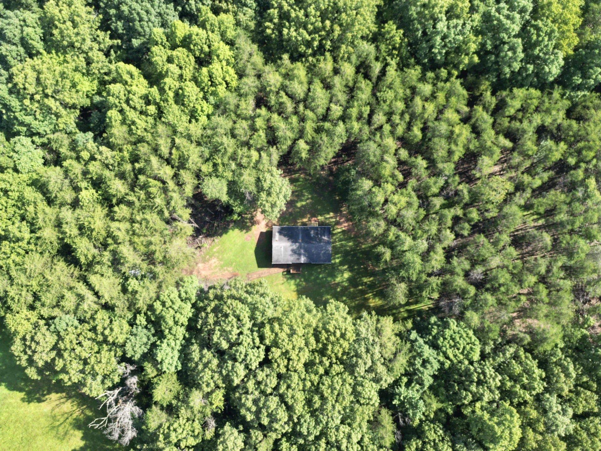 1288 Flint Hill RD - Photo 5
