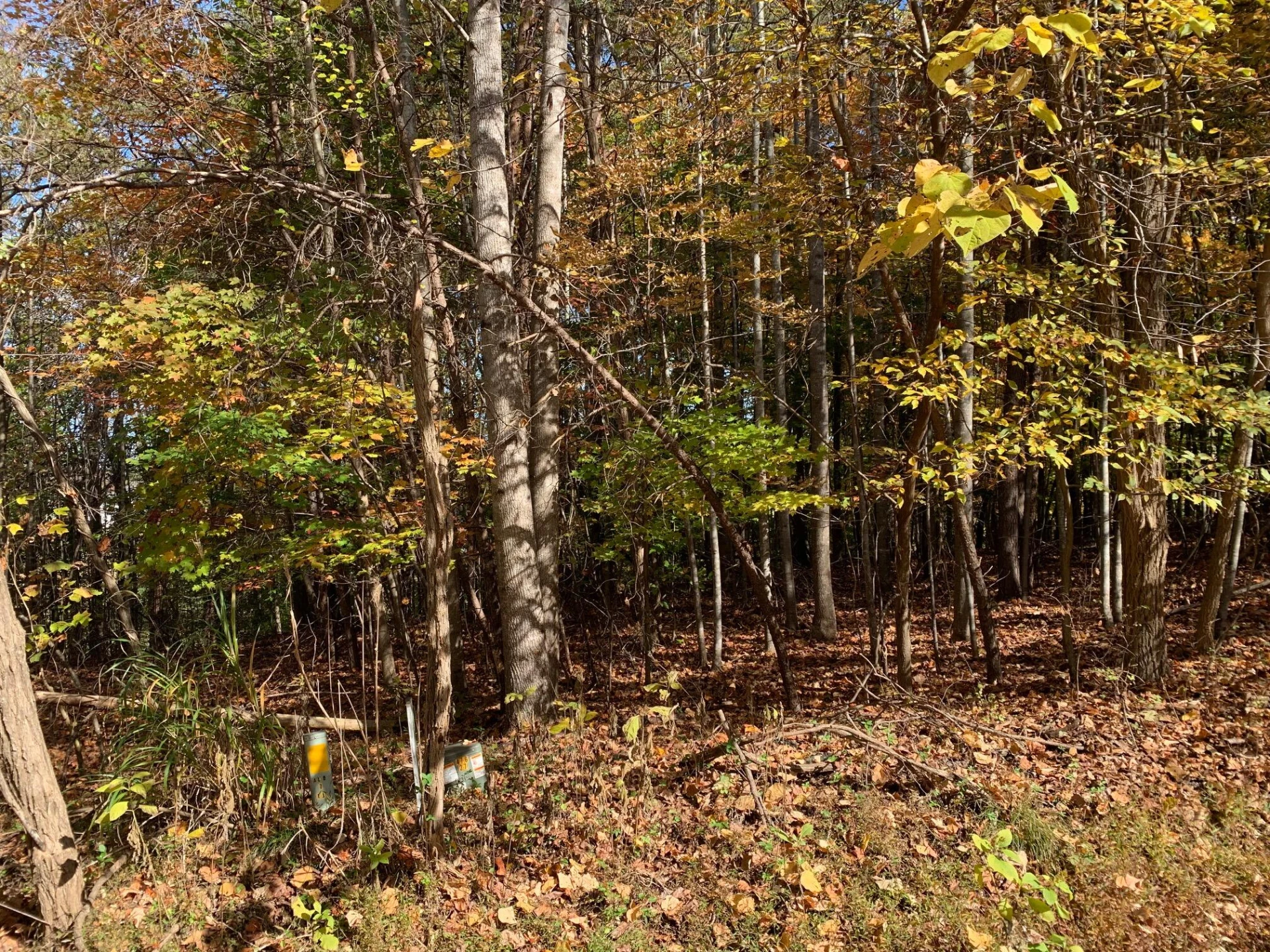 Lot 68 Peaks View DR - Photo 2