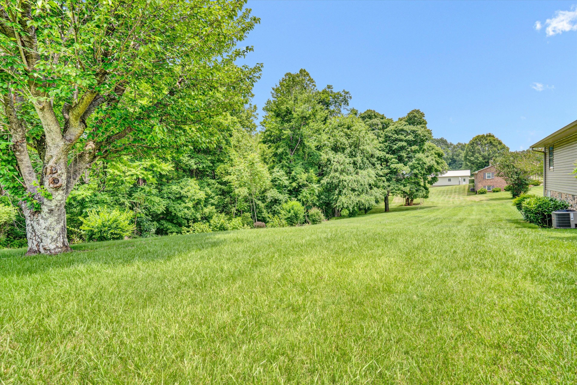 309 JACKS CREEK RD - Photo 22