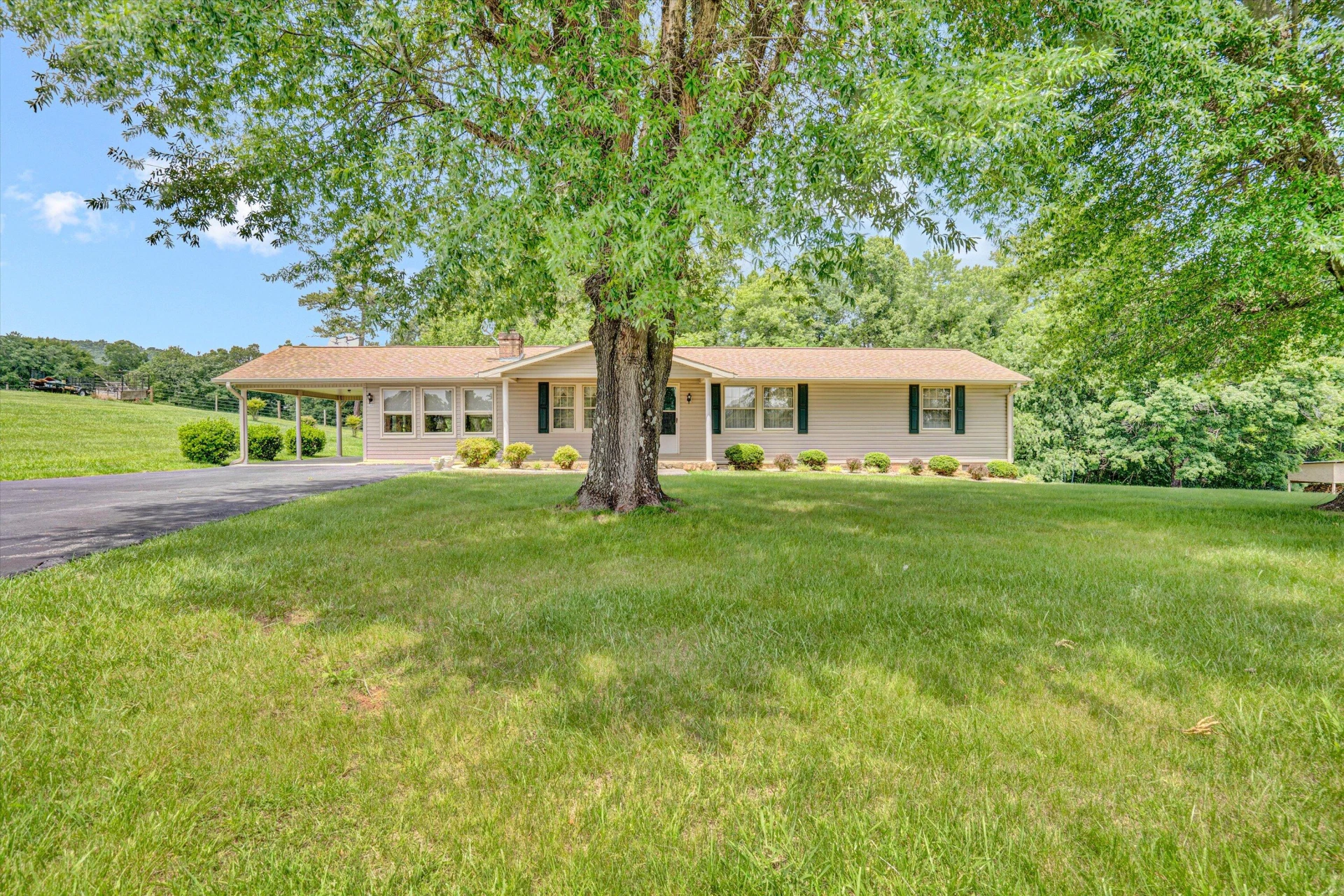 309 JACKS CREEK RD - Photo 25