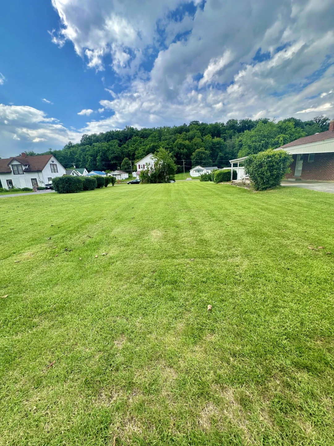 312 Phillip ST - Photo 7