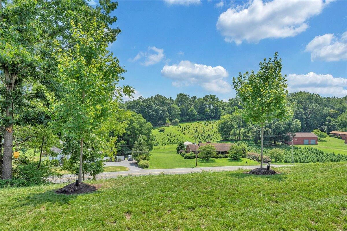 2153 Kings Walk DR - Photo 49