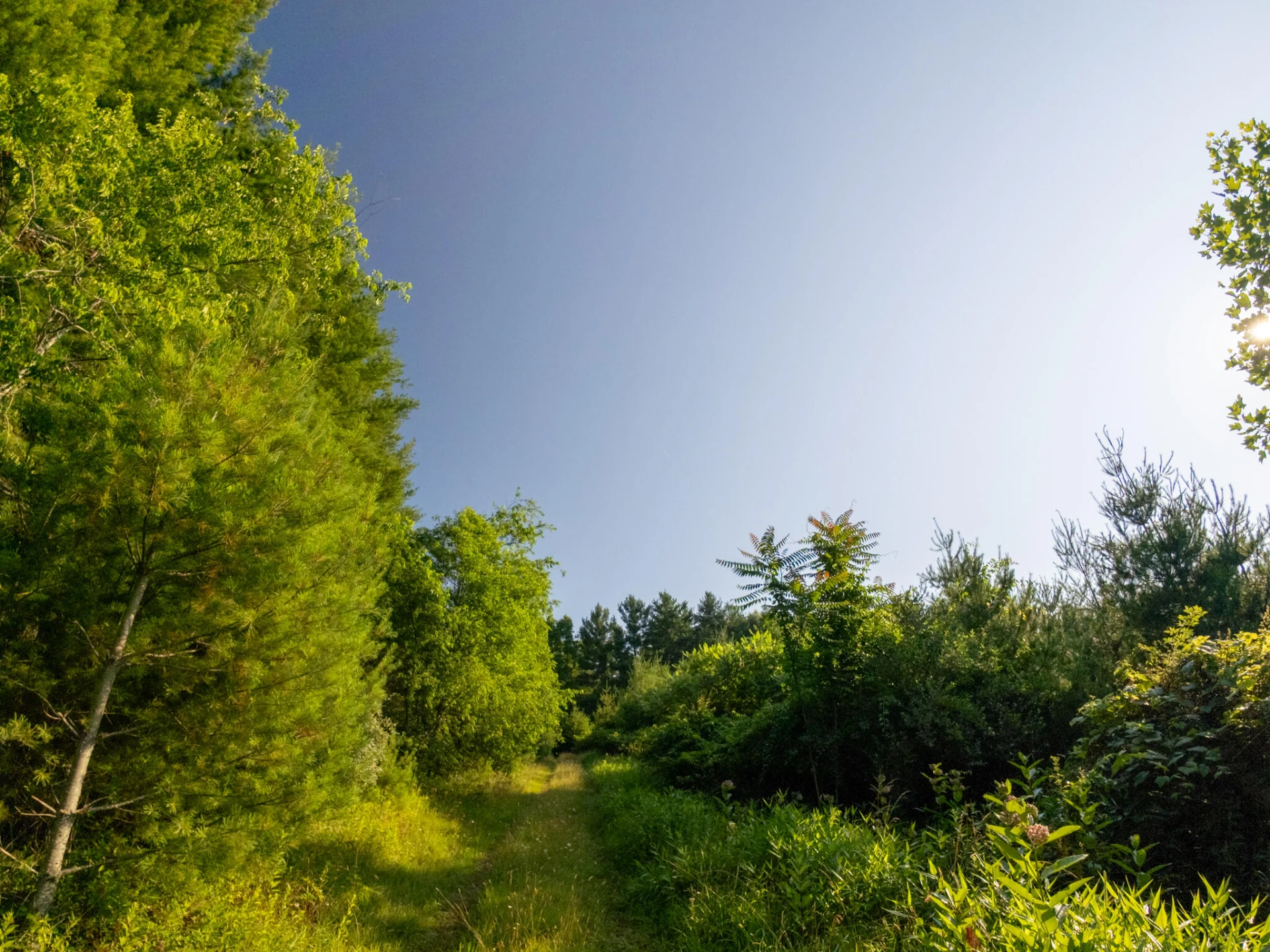Tract 3 Merifield RD - Photo 16