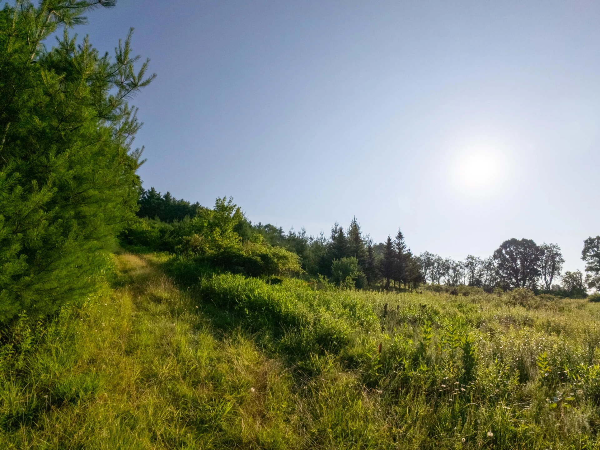 Tract 3 Merifield RD - Photo 17