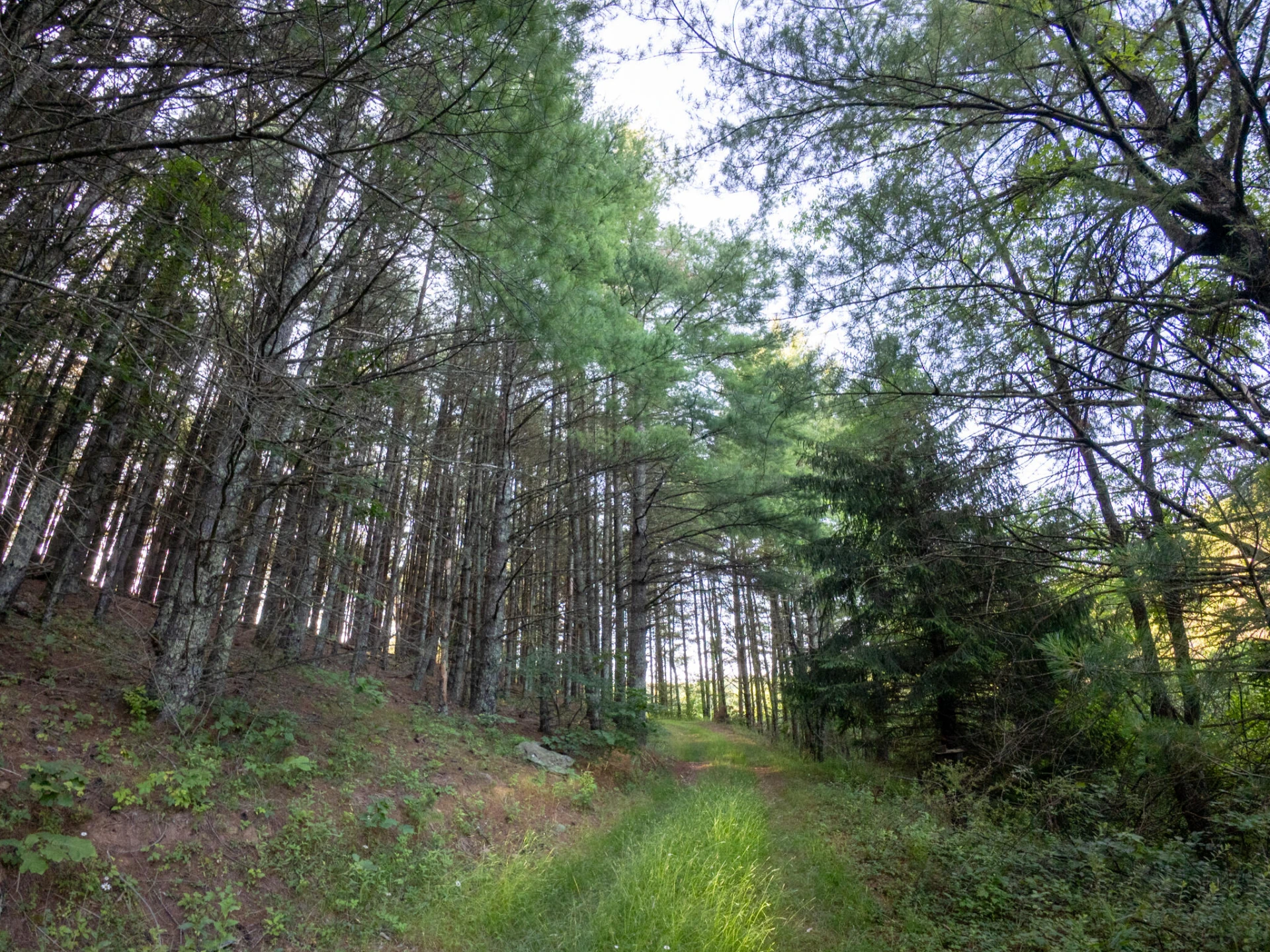 Tract 3 Merifield RD - Photo 19