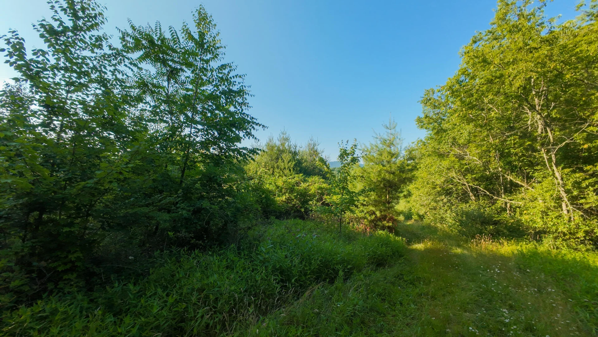 Tract 3 Merifield RD - Photo 21