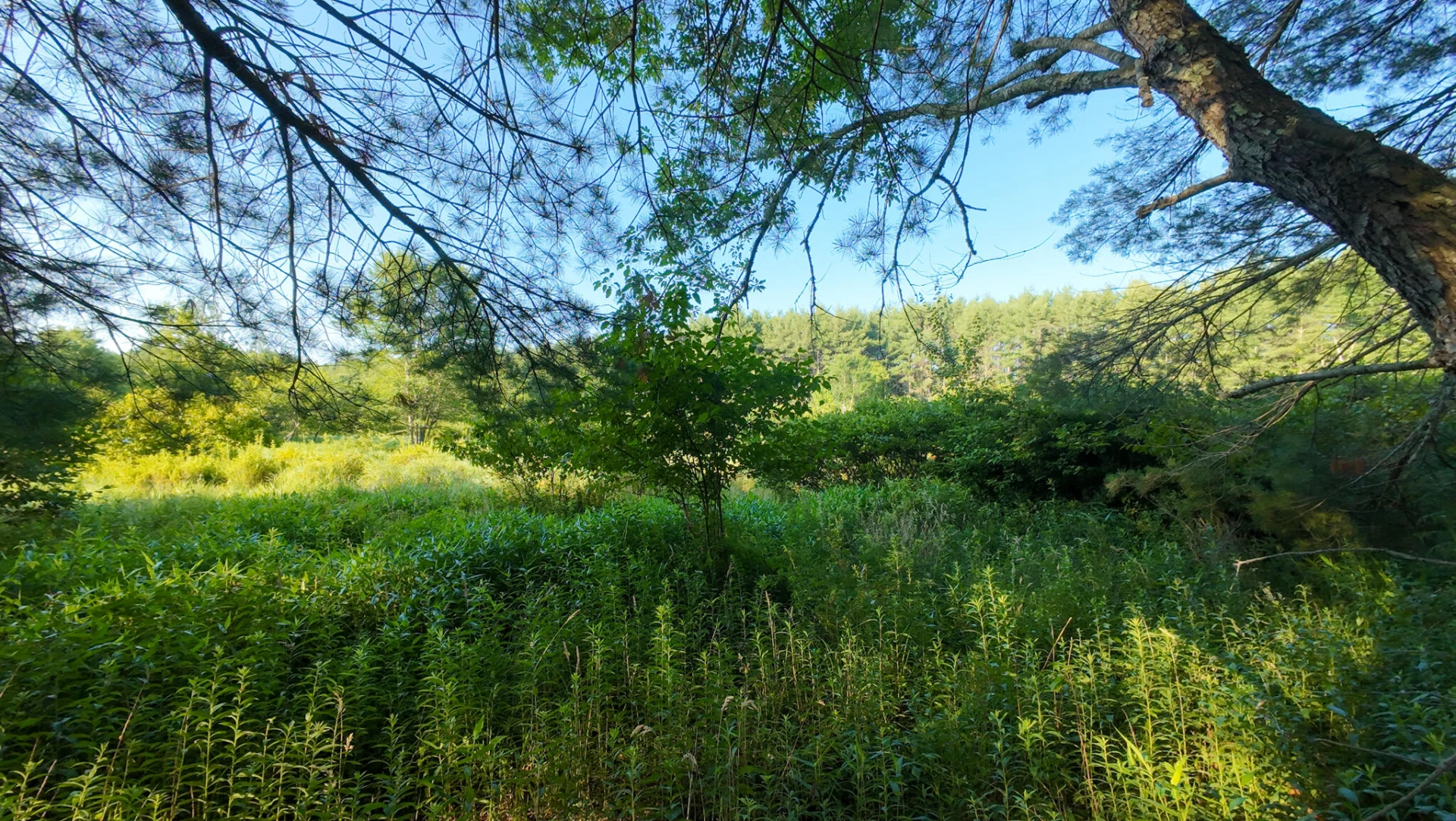 Tract 3 Merifield RD - Photo 22