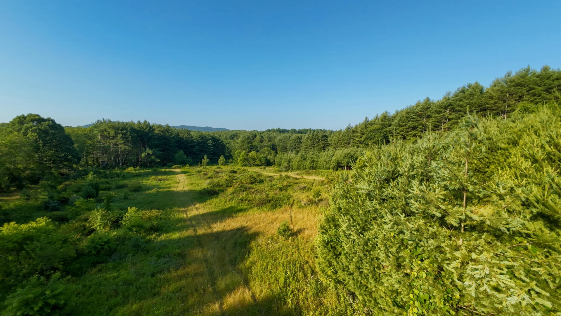 Tract 3 Merifield RD - Photo 6