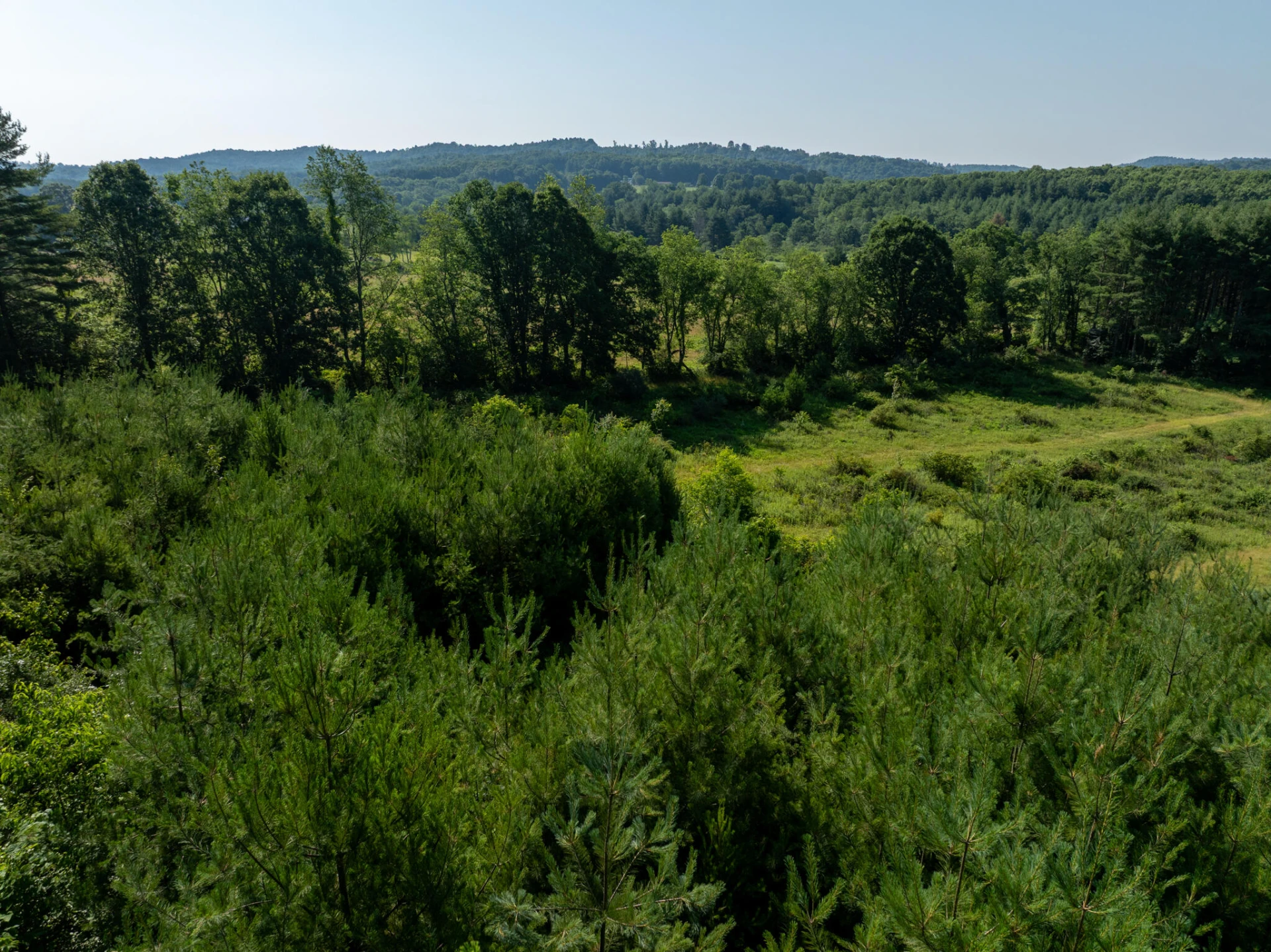 Tract 3 Merifield RD - Photo 9