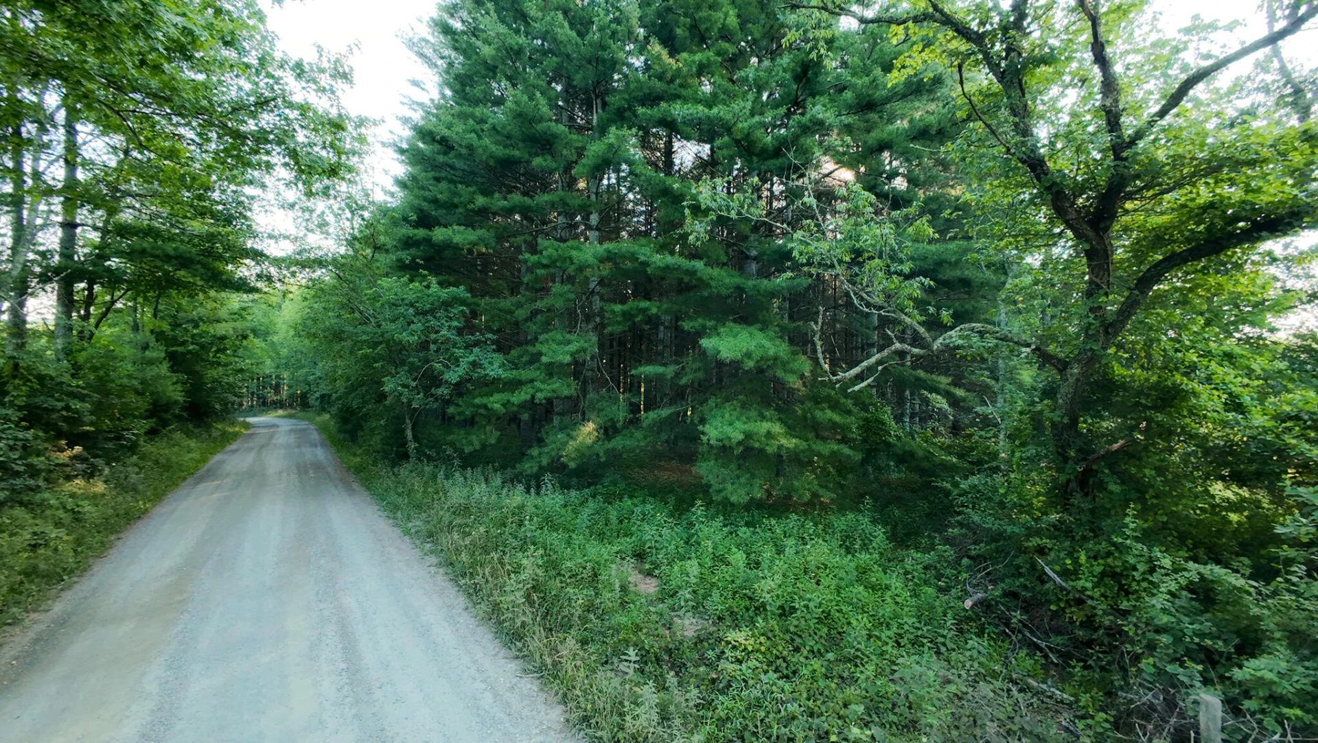 Tract 4 Merifield RD - Photo 11