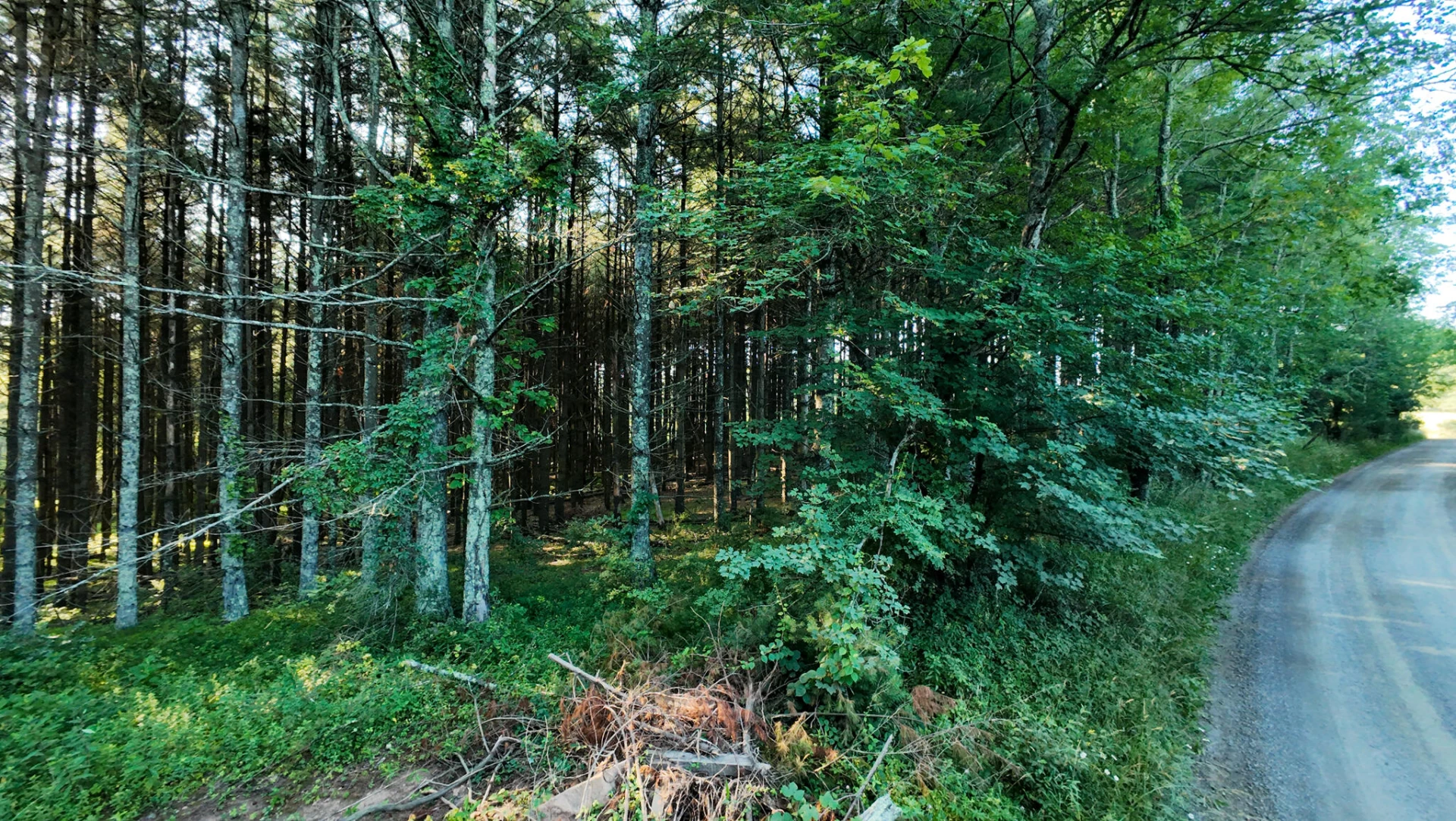 Tract 4 Merifield RD - Photo 12