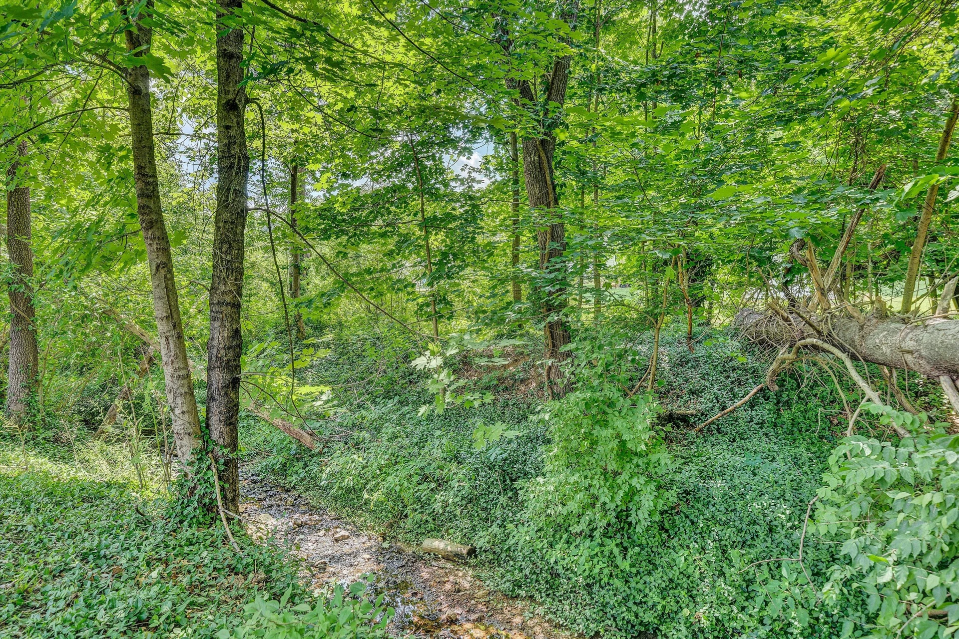 6840 Tinkerdale RD - Photo 34