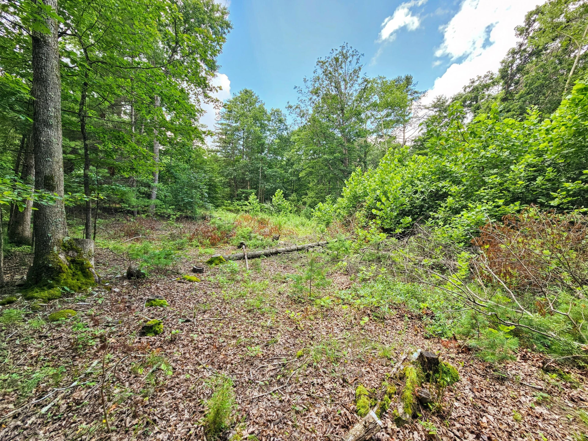 0 Hoot Owl RD - Photo 10