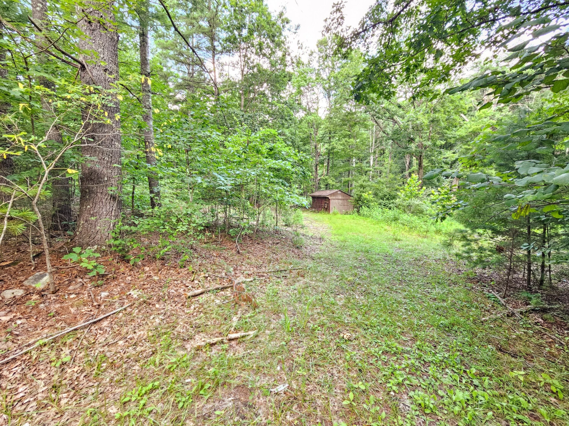 0 Hoot Owl RD - Photo 11