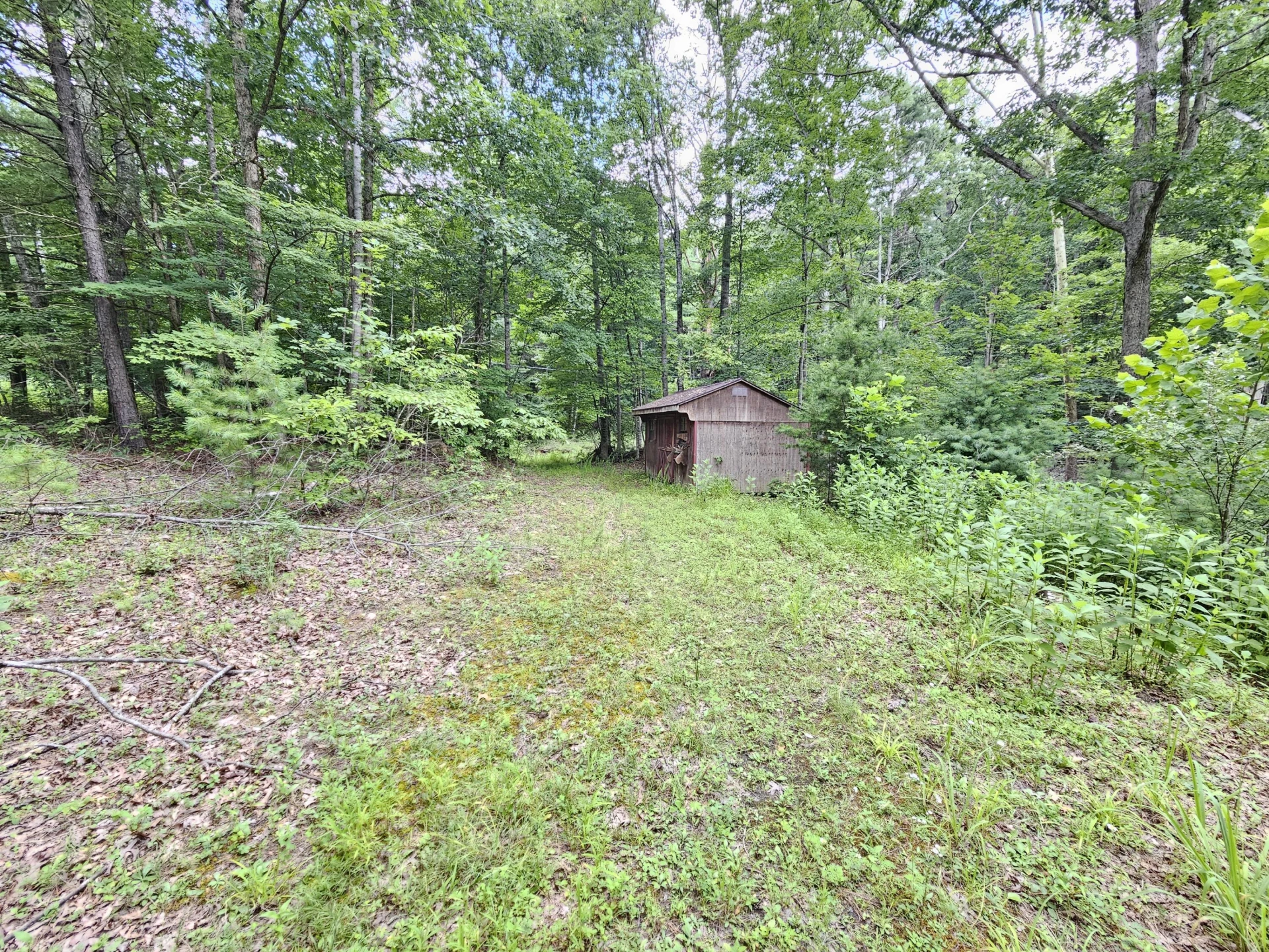 0 Hoot Owl RD - Photo 2