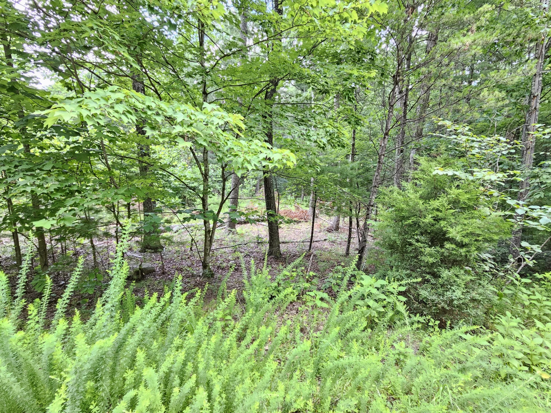 0 Hoot Owl RD - Photo 7